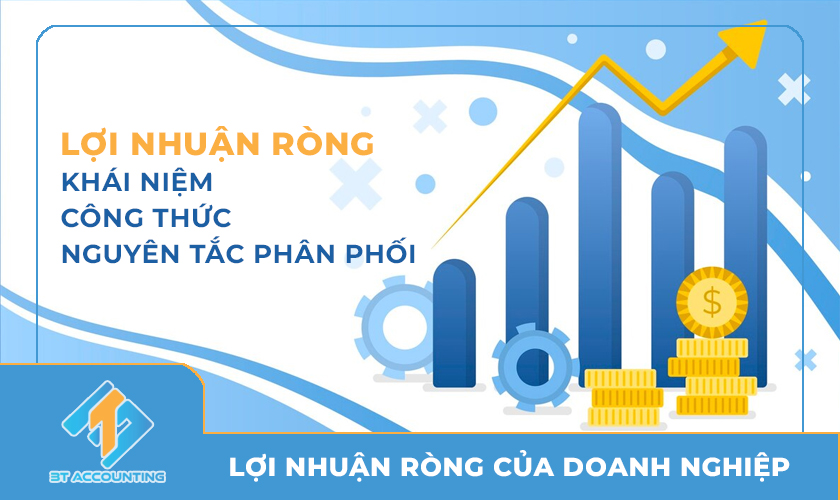 Lợi Nhuận Ròng Của Doanh Nghiệp